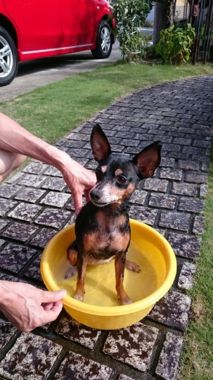 生き物ルーム第24