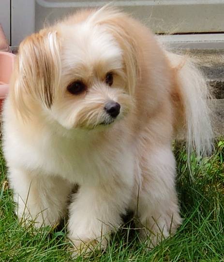 生き物ルーム第24