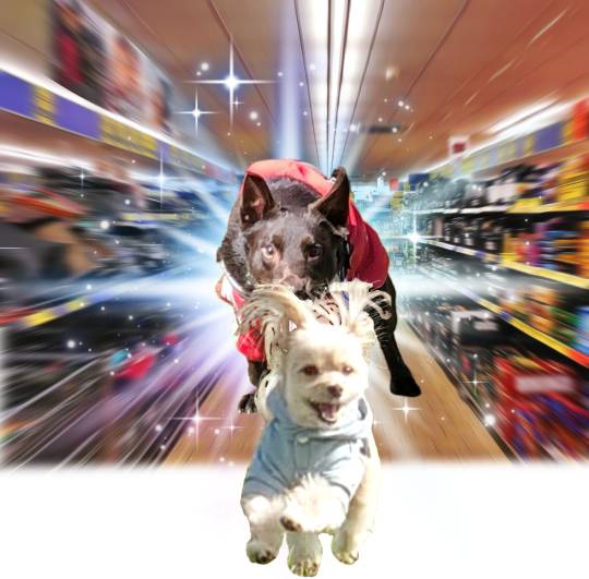 生き物ルーム第26