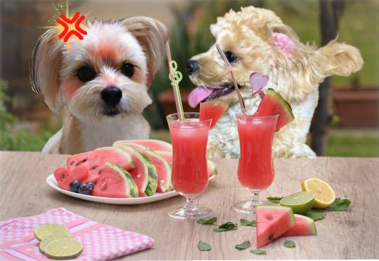 生き物ルーム第24