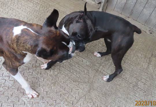 生き物ルーム第26