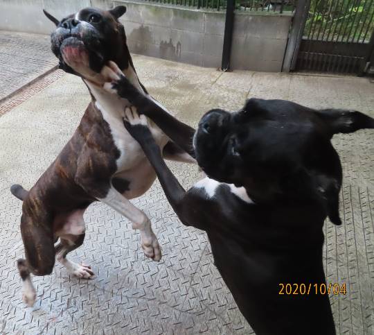 生き物ルーム第24