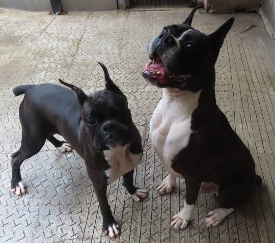 生き物ルーム第24