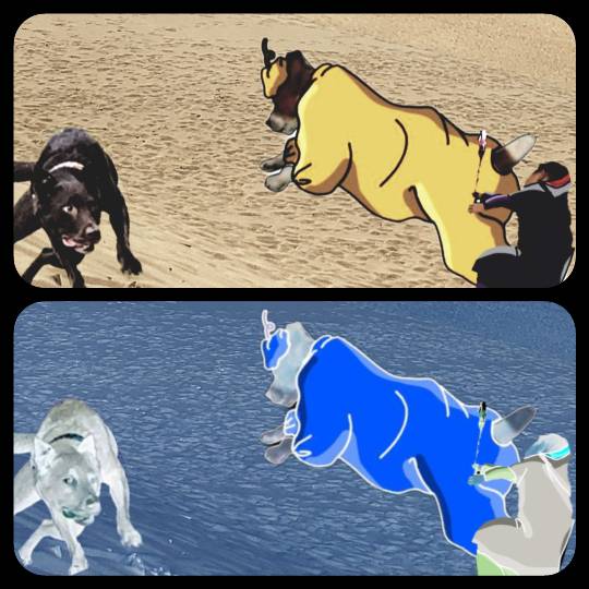 生き物ルーム第26