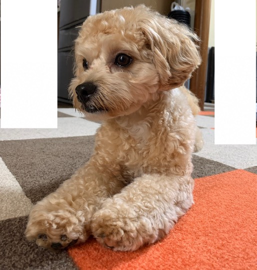 生き物ルーム第23