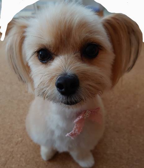 生き物ルーム第24