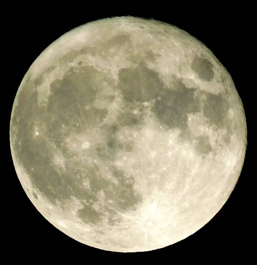 EGG'S CAFE 『雑談板5周年おめでとう』