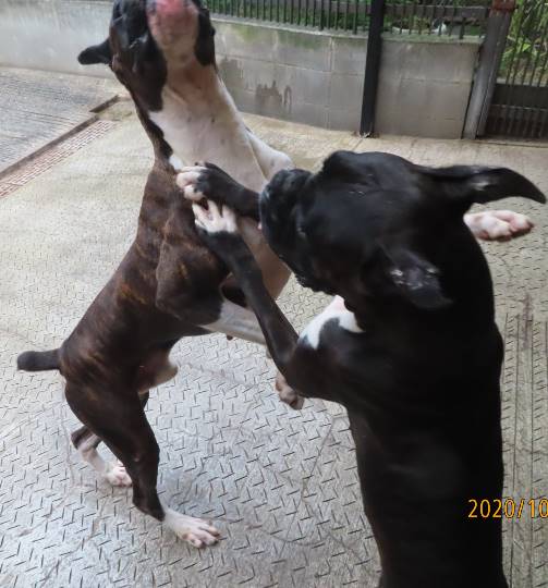 生き物ルーム第24