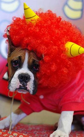 生き物ルーム第26