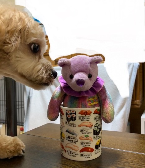 生き物ルーム第24