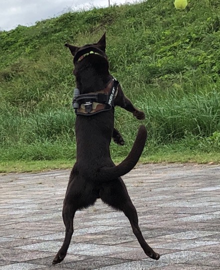 生き物ルーム第26