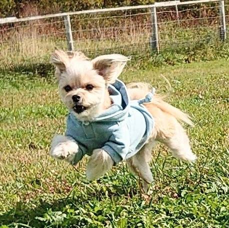 生き物ルーム第26