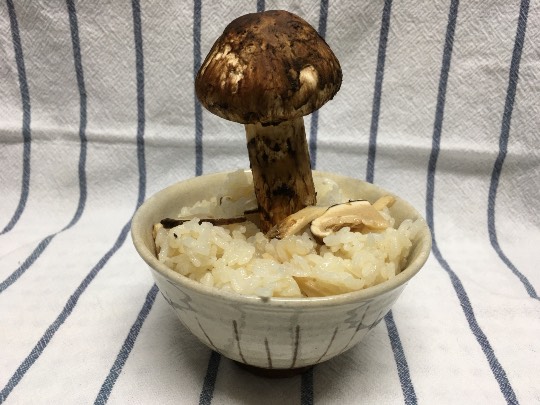 【料理トピ】知り隊　食い隊　調べ隊　3