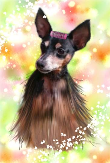 生き物ルーム第26