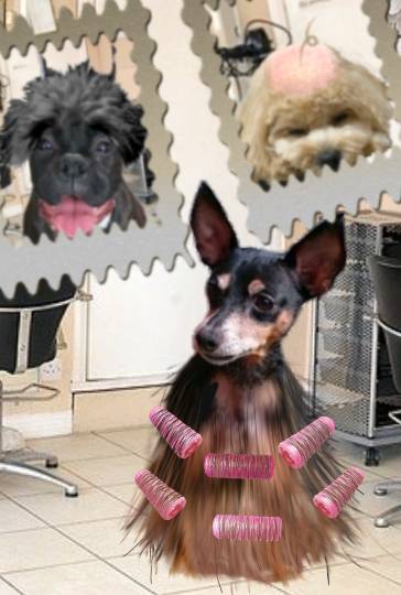 生き物ルーム第26