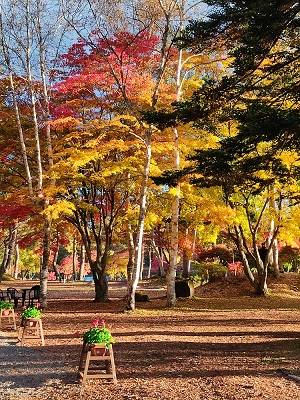 花鳥風月に心を込めて...　(エアー花トピ2)