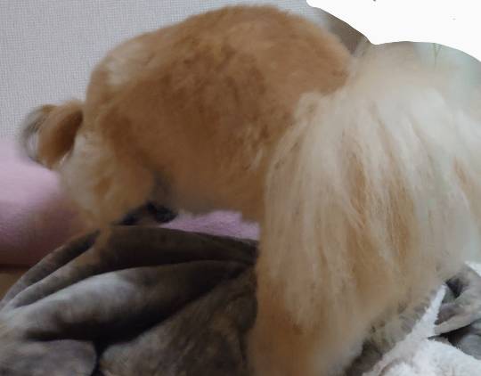 生き物ルーム第26