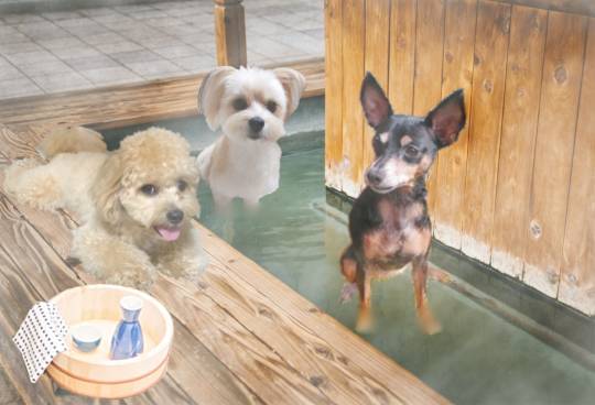 生き物ルーム第24