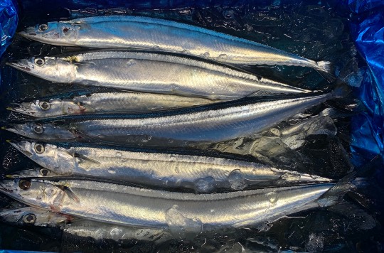 生き物ルーム第24