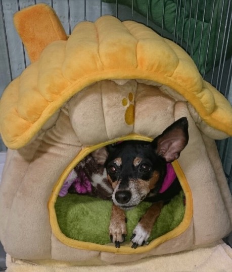 生き物ルーム第24