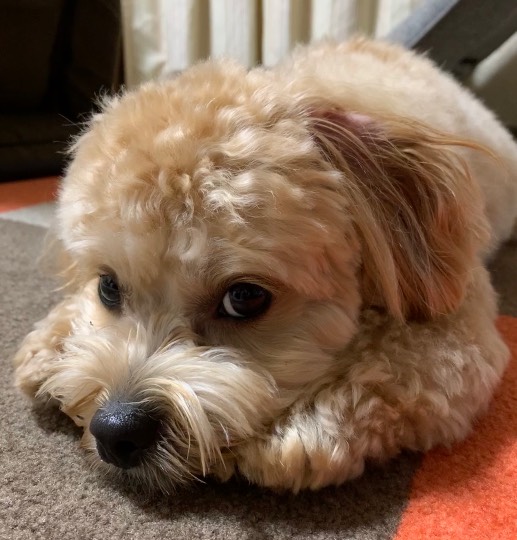 生き物ルーム第24