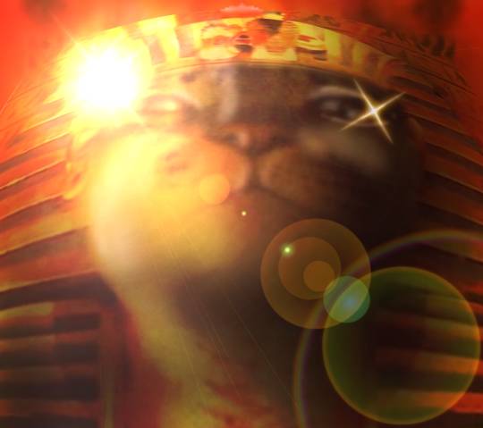 生き物ルーム第26