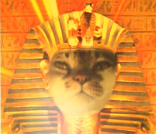 生き物ルーム第26