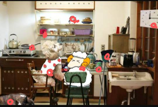 生き物ルーム第24