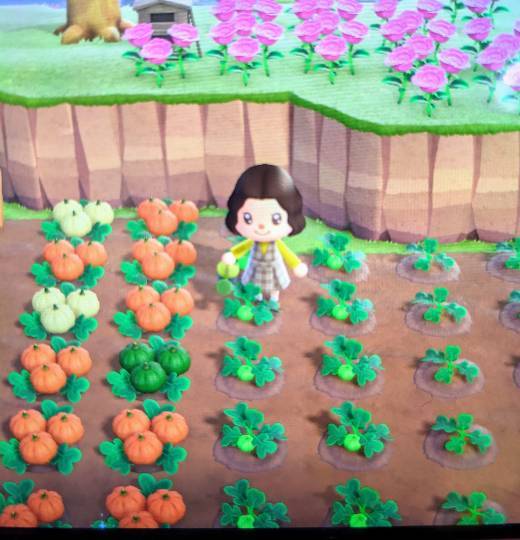 あつまれゲーム好きさんの森 Ⅴ 雑談も歓迎しとーよ♪