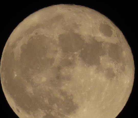 EGG'S CAFE 『雑談板5周年おめでとう』