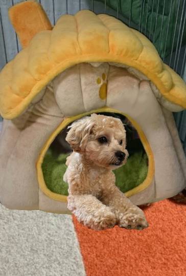 生き物ルーム第24