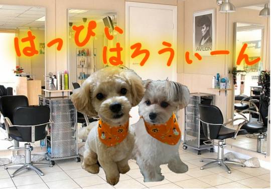 生き物ルーム第24