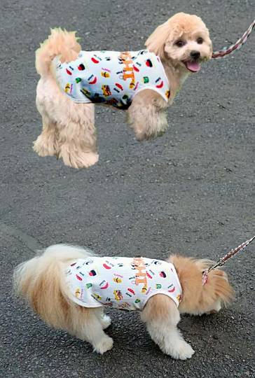 生き物ルーム第24