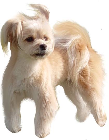 生き物ルーム第26