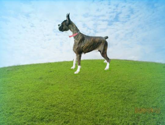 生き物ルーム第24