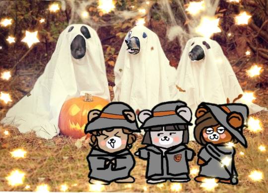 生き物ルーム第26