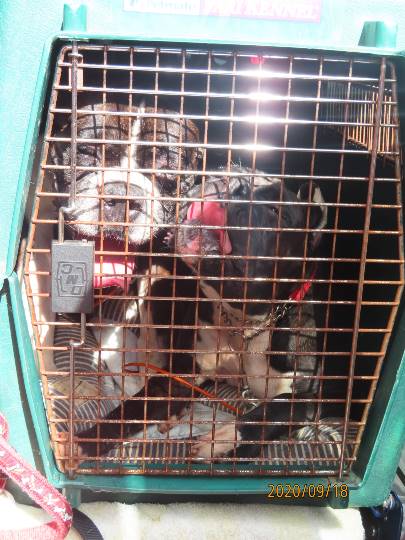 生き物ルーム第24