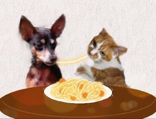 生き物ルーム第26