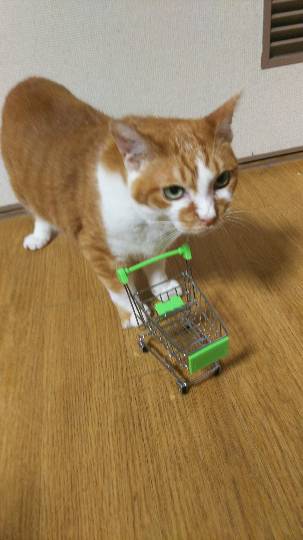 生き物ルーム第24