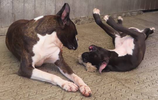 生き物ルーム第23