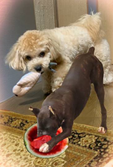 生き物ルーム第24