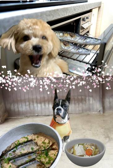 生き物ルーム第24