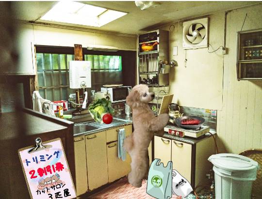 生き物ルーム第24