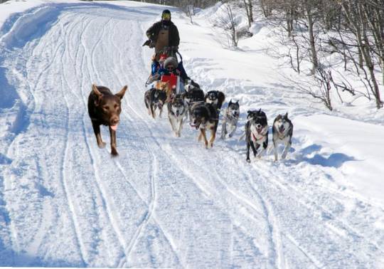 生き物ルーム第26