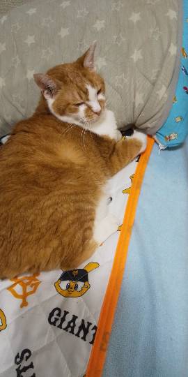 生き物ルーム第24