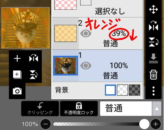 生き物ルーム第26