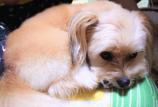 生き物ルーム第24