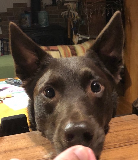 生き物ルーム第24