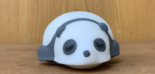 生き物ルーム第24