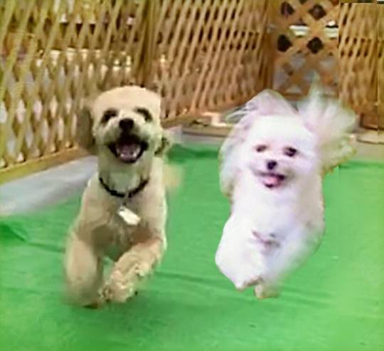 生き物ルーム第24